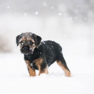 tanika-9C58HJppyHk-unsplash-800